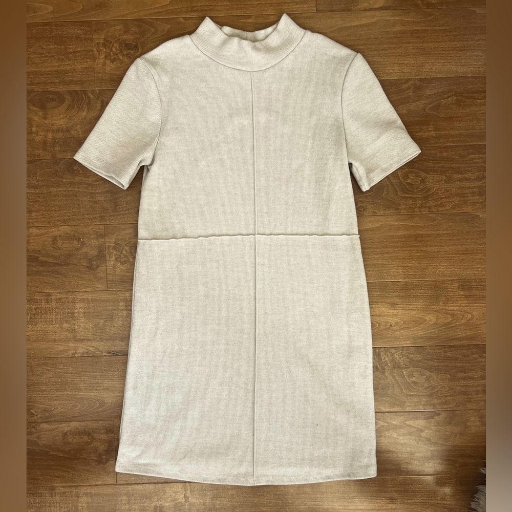 Zara Cream Sheath Mini Dress with Mock Neck